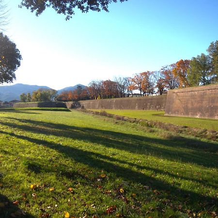 Appartamento Via Grandi - Free Gated Parking - 5 Minutes From Center Lukka Zewnętrze zdjęcie
